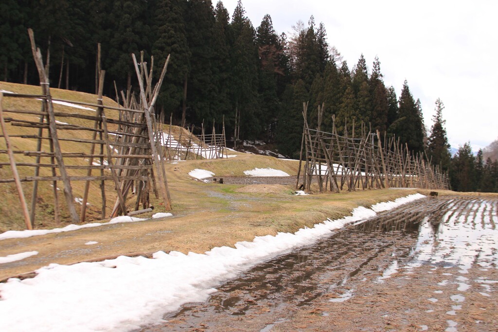 はざぎの風景03