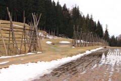 はざぎの風景03