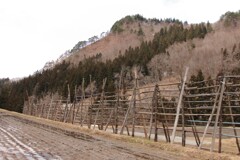 はざぎの風景02