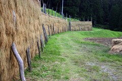 はざきの風景12