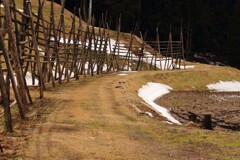 はざぎの風景01