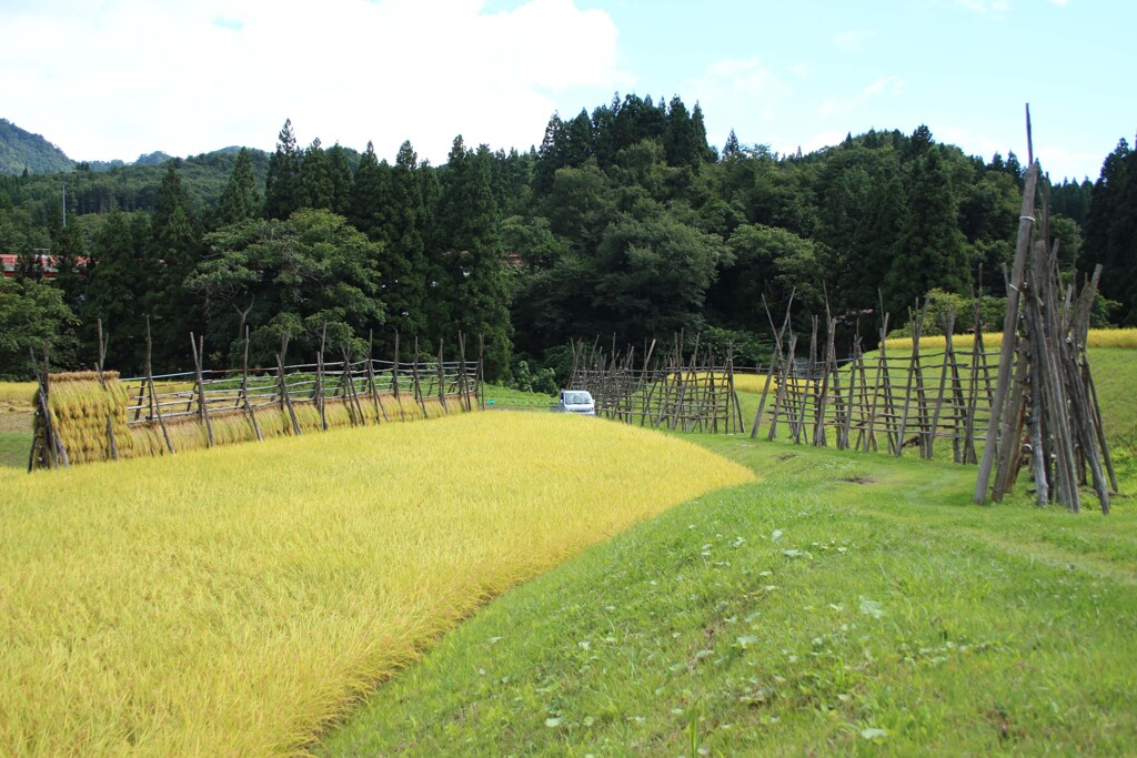 はざぎの風景06