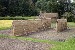 はざきの風景11