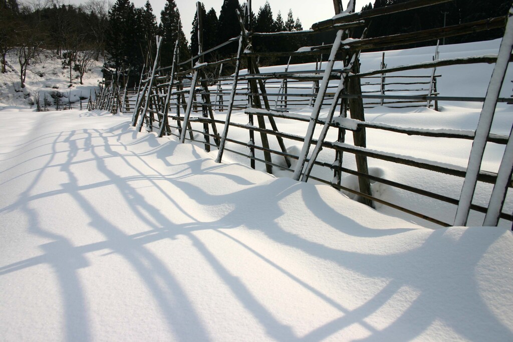 はざきの風景10