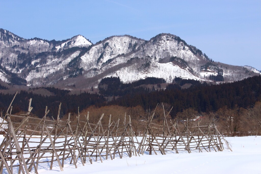 はざぎの風景15