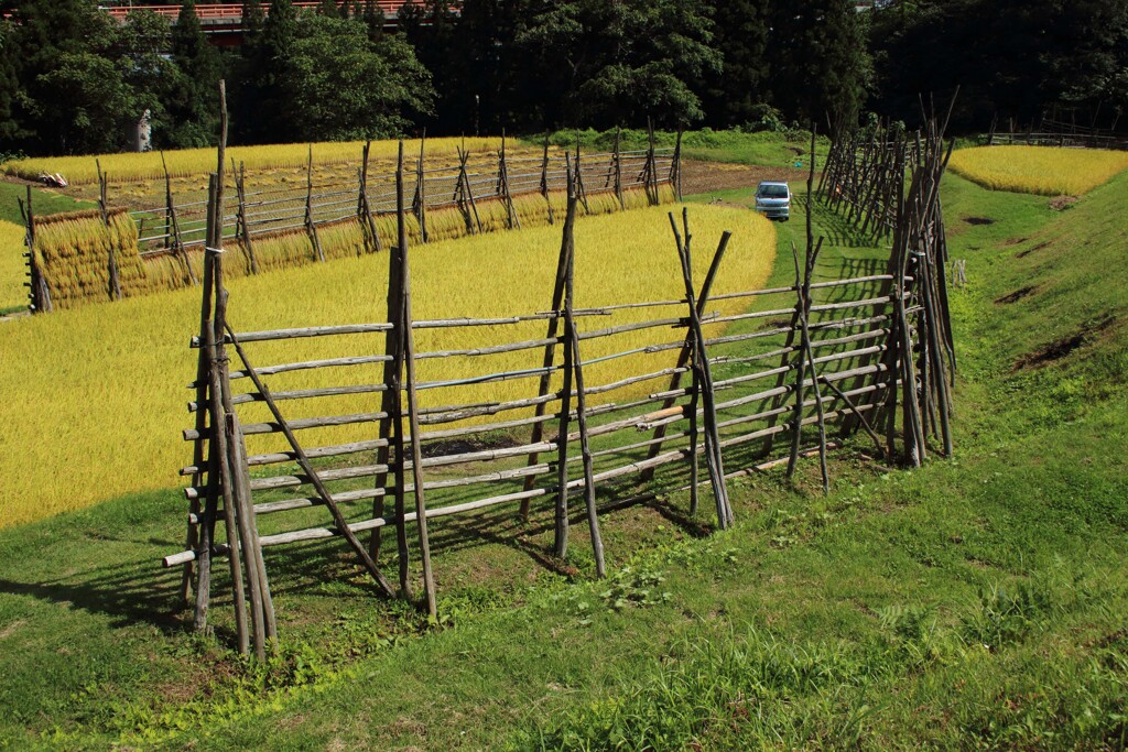 はざぎの風景05