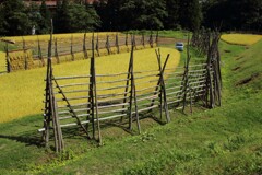 はざぎの風景05