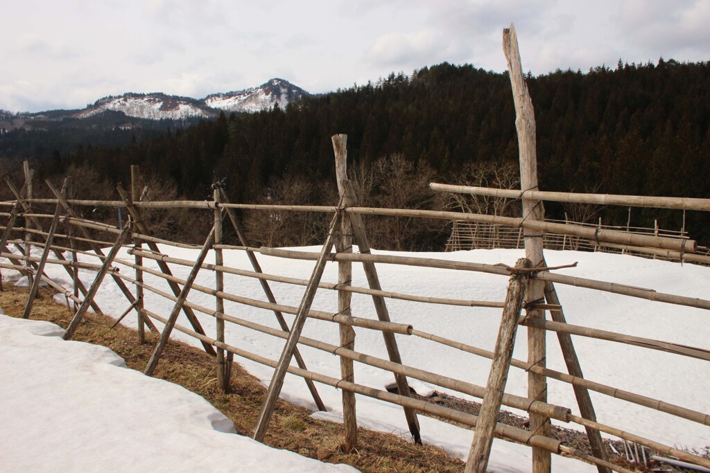 はざぎの風景16
