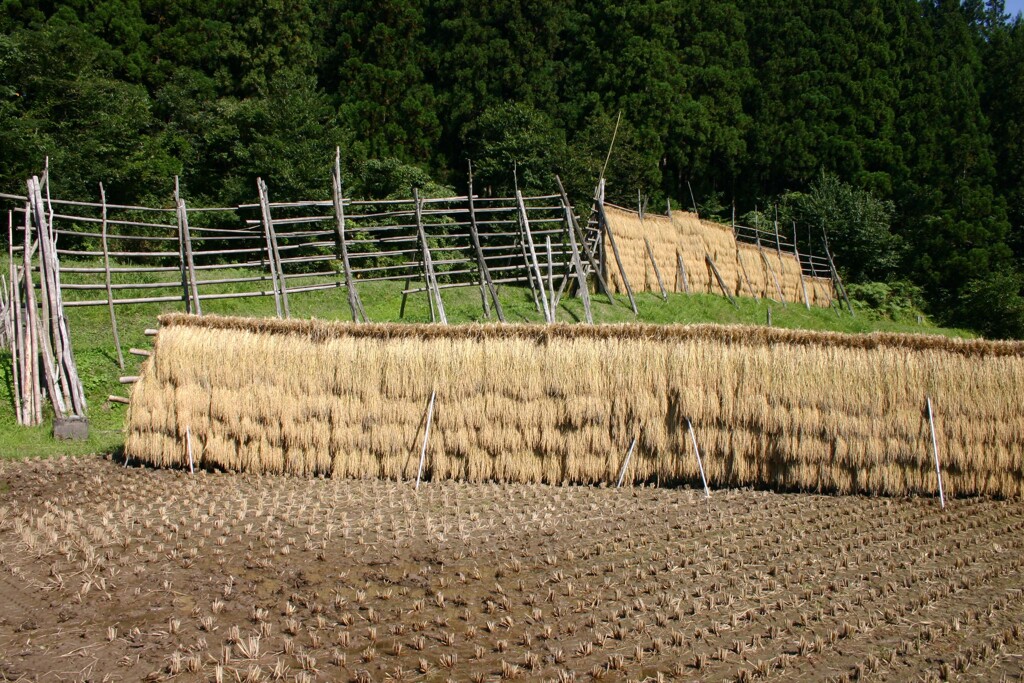 はざきの風景13