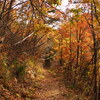 晩秋の富神山　山頂までの散歩道