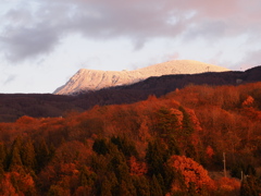 三色に色づく地蔵山