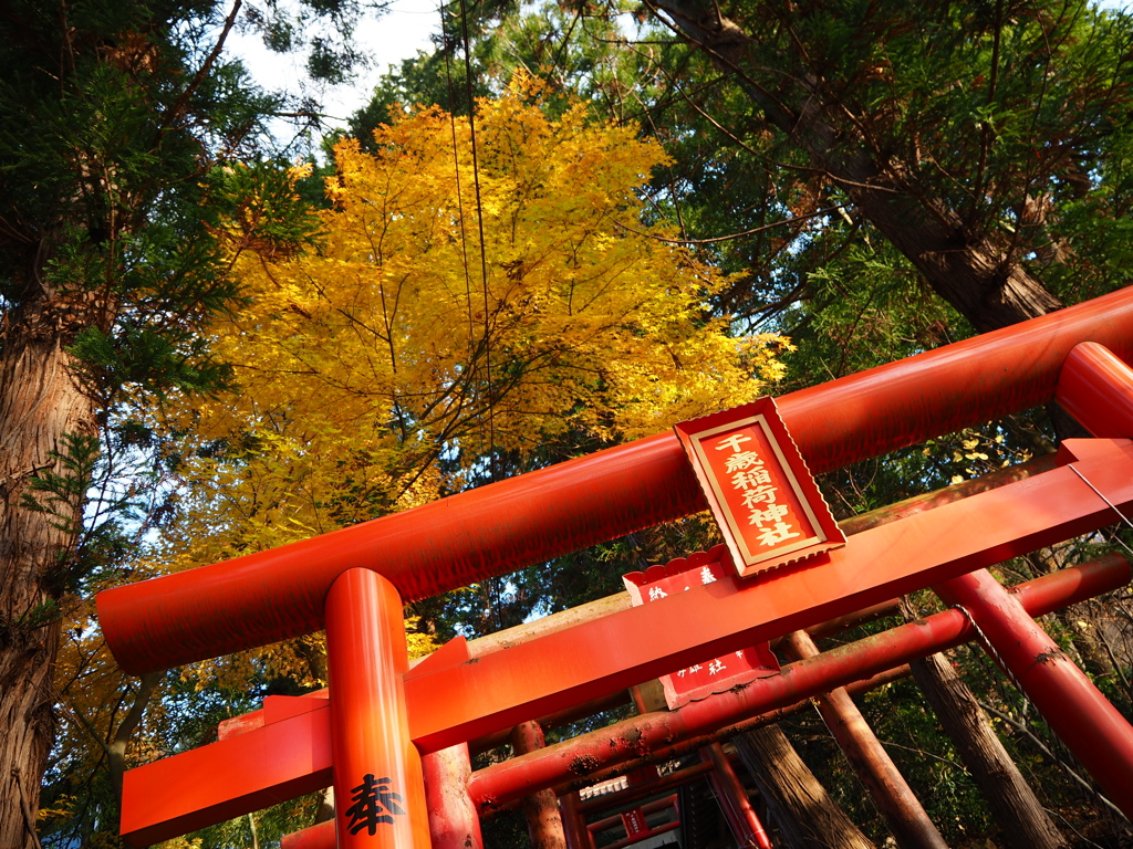 千歳山稲荷神社