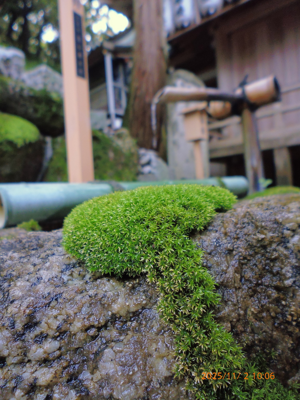 石切御劔神社上之社で1枚