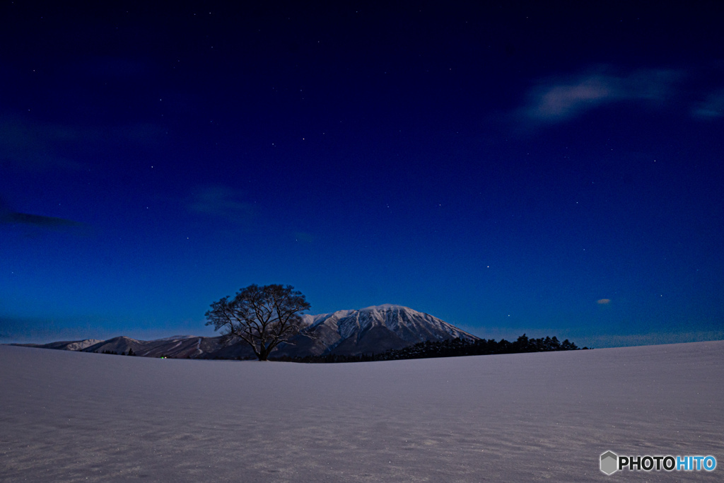 岩手山と一本桜