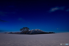 岩手山と一本桜