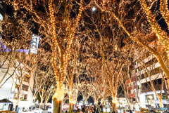 光のページェント