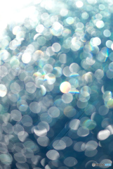 フロントガラス