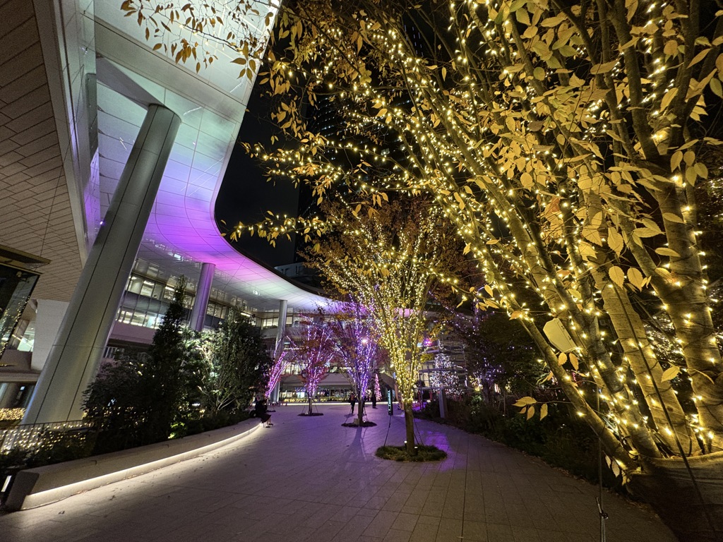 光のレールを歩く