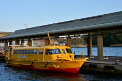 黄色が似合う時間