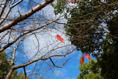 空に残った赤