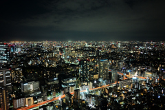 塔の上から見つめる東京
