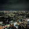 塔の上から見つめる東京