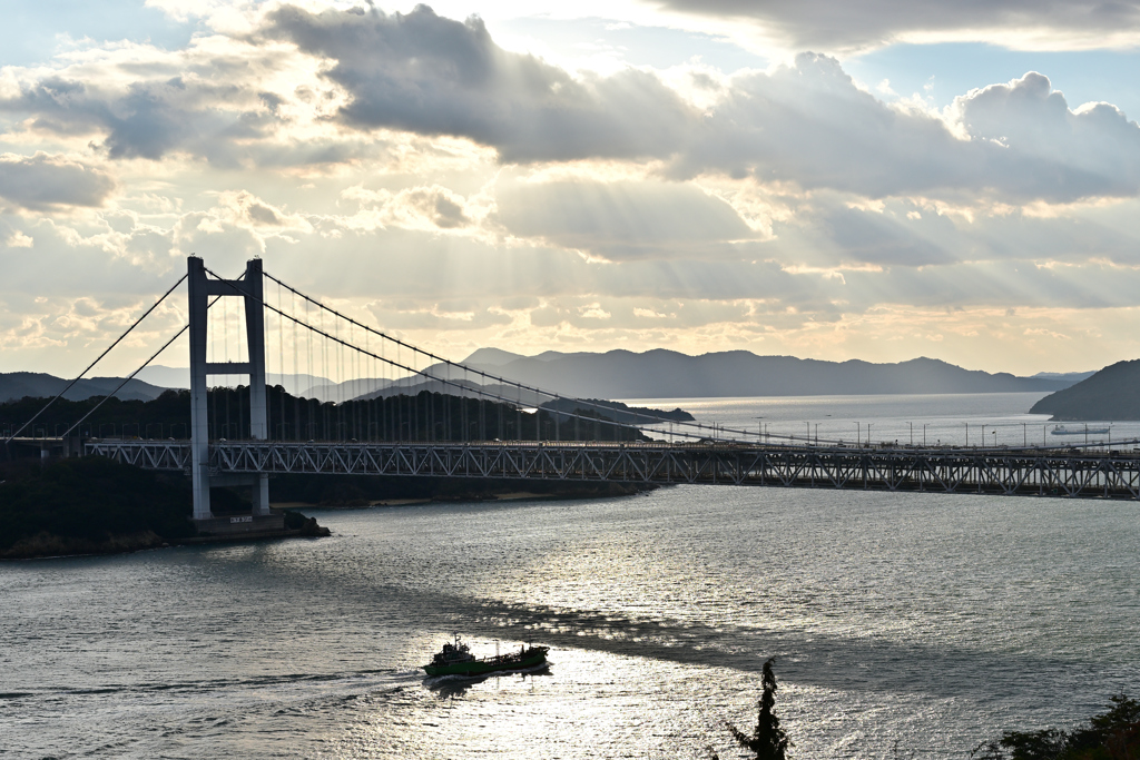 光の道を横切る