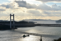 光の道を横切る