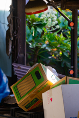 スポットライト