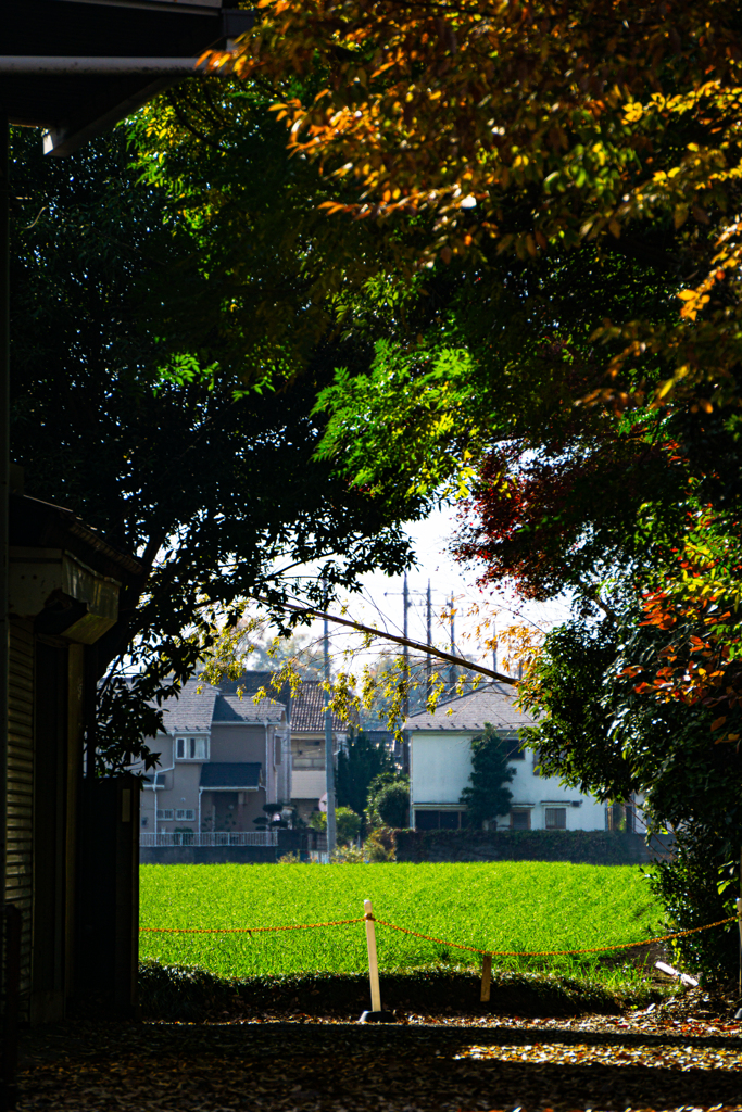 プラスチックチェーン