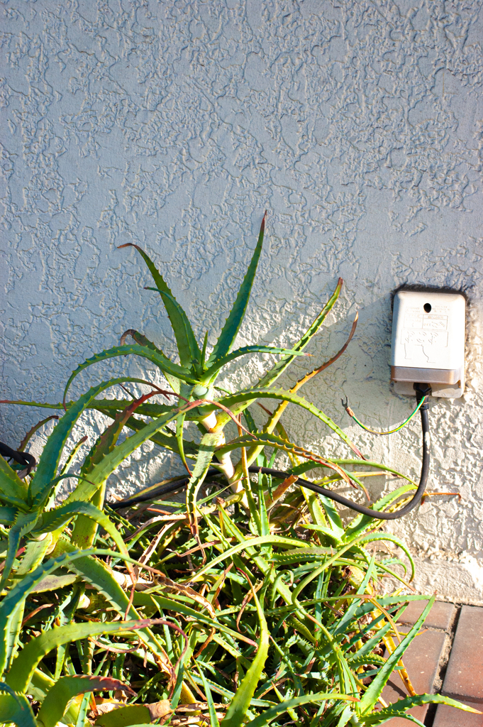 アース線とアロエ