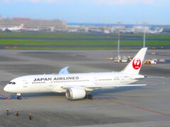 JAL B787
