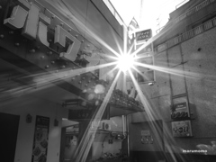 ホワイトハウス