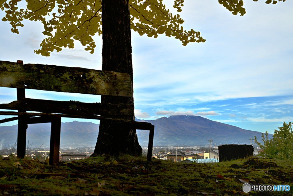 朽ちた椅子とイチョウと浅間山