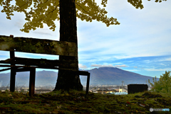 朽ちた椅子とイチョウと浅間山
