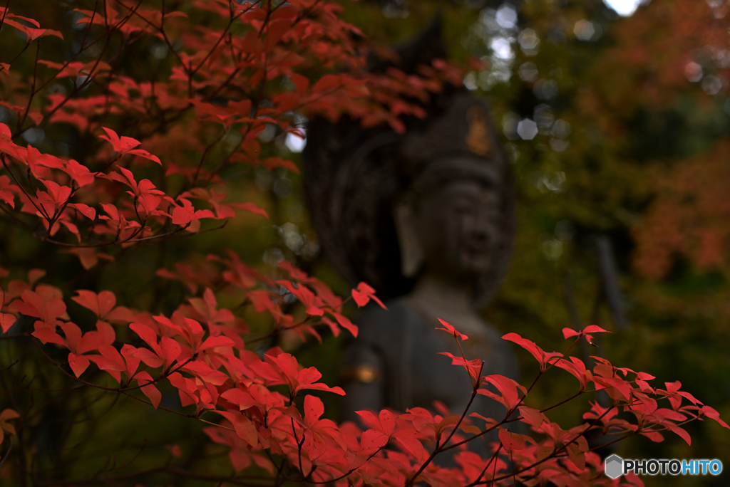 命の輝きを間近に見微笑む