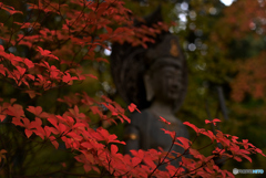 命の輝きを間近に見微笑む