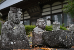 境内の住人たち