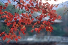 浮御堂を背景に