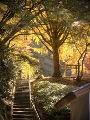 河内長野、延命寺