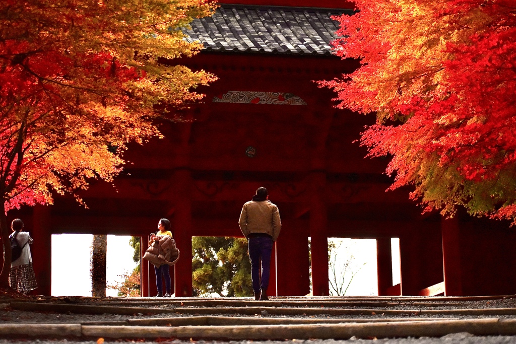 高野山大門、夕陽を浴びる紅葉
