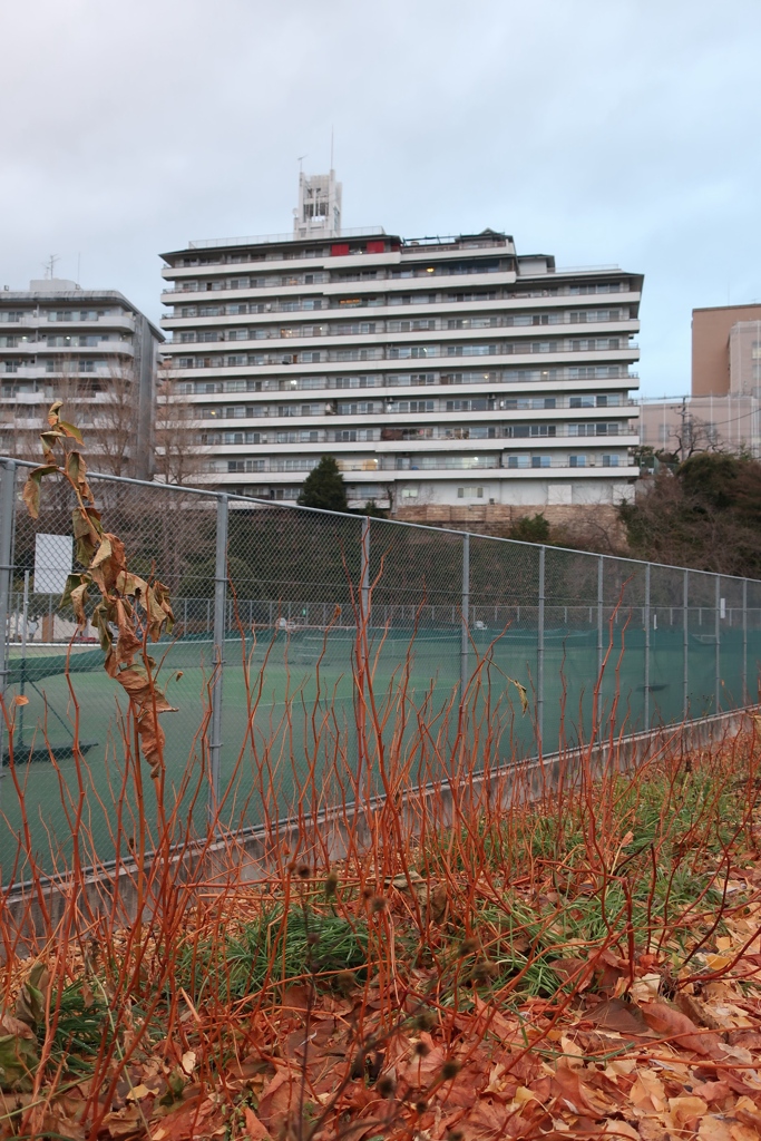 仙台・松島 2025
