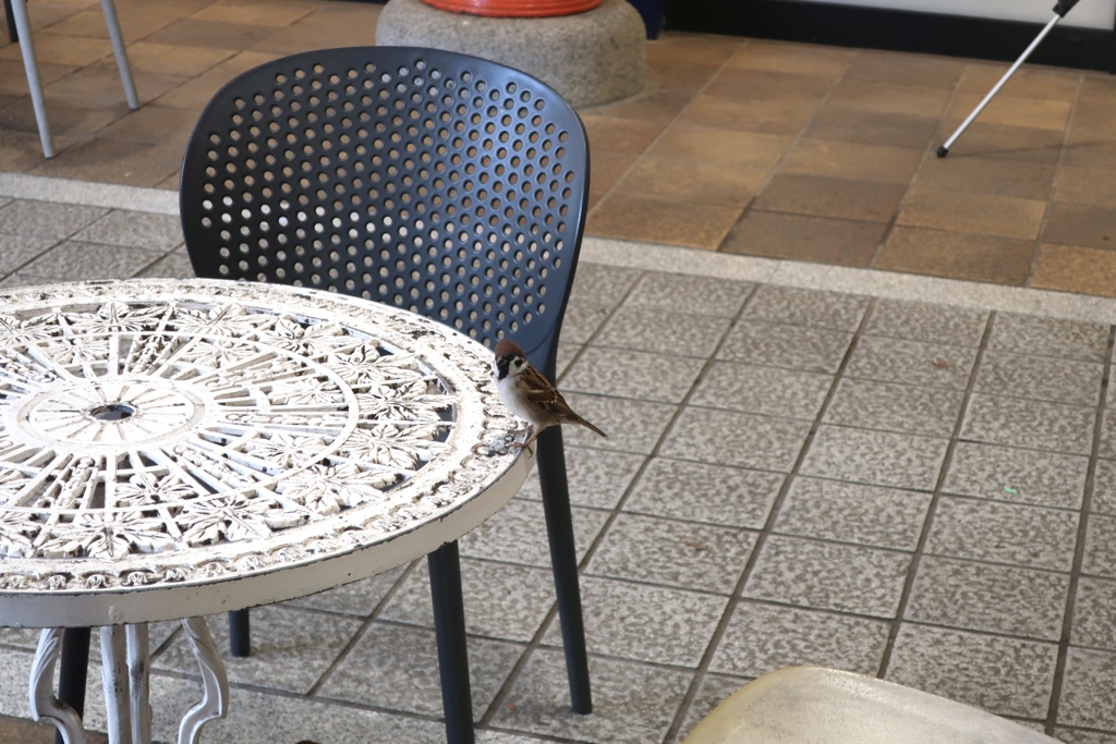 仙台・松島 2025