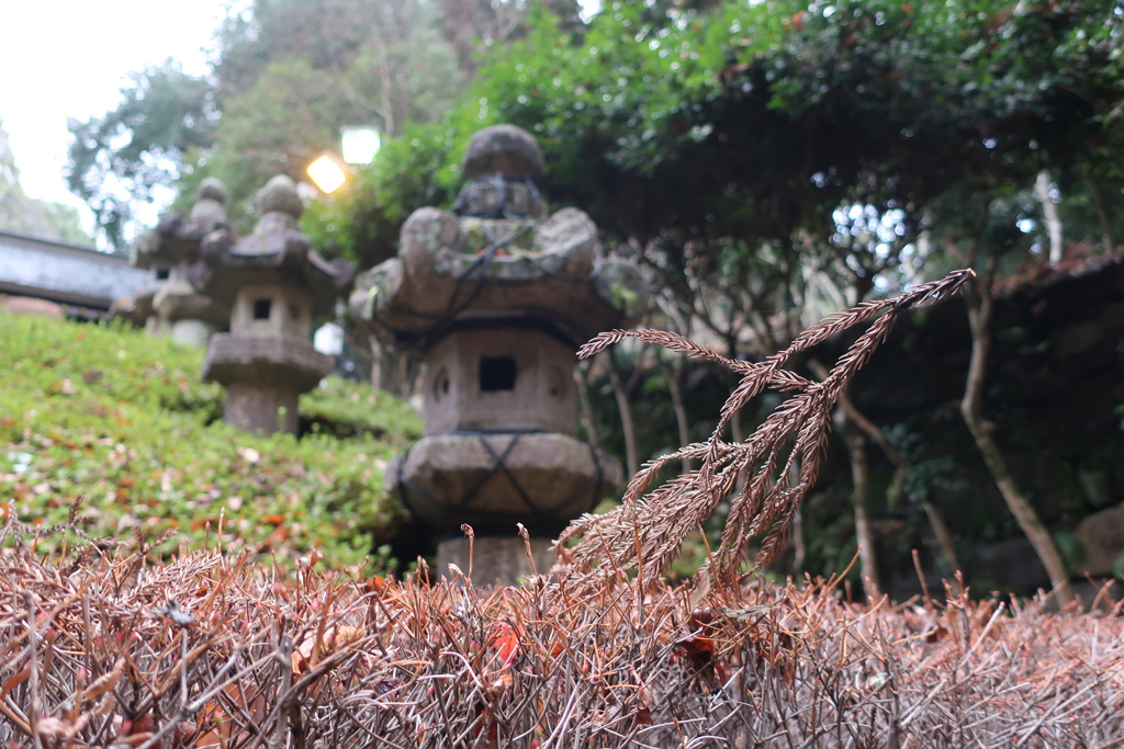 仙台・松島 2025