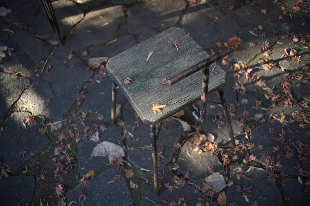 この秋に取り残される