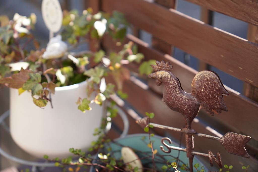 新年の風向きをみる