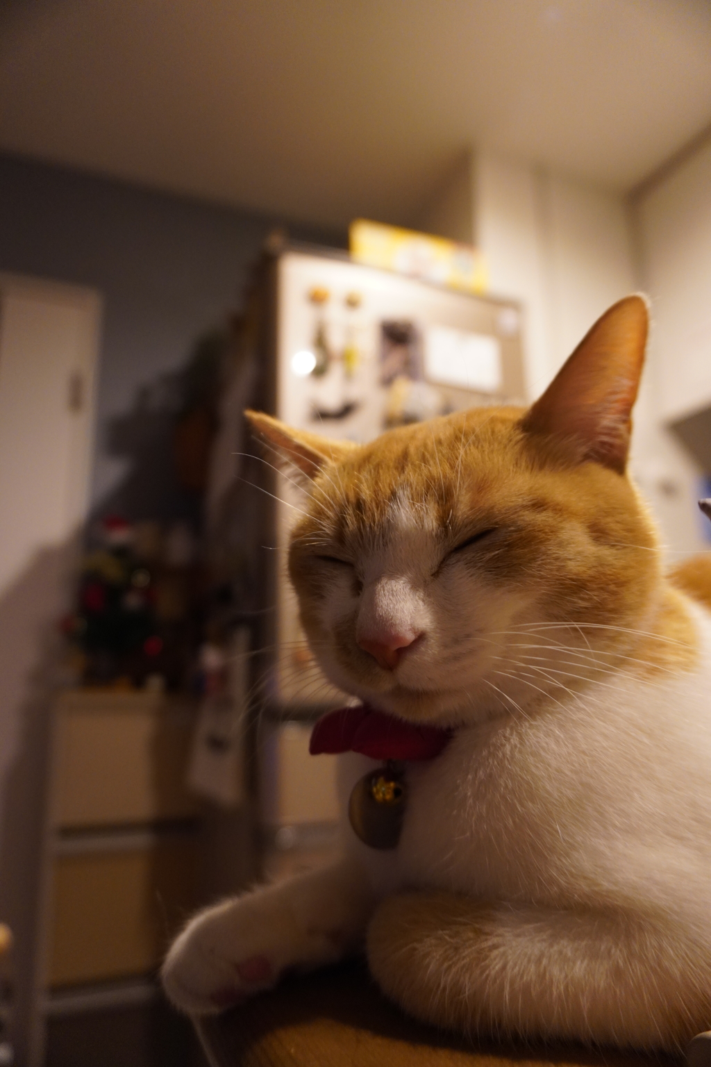 かわいいって言われた時にする顔