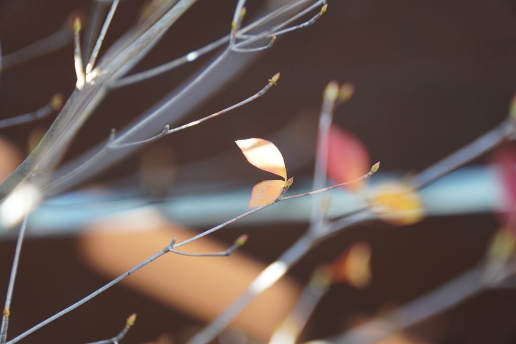 落ちるではなく飛ぶ準備