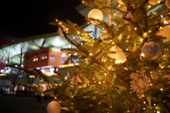 しろくまさんの冬支度