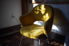 木漏れ日差す特等席